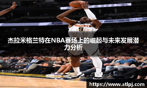 bsports官网入口