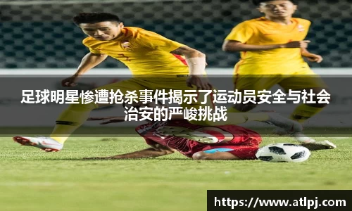 bsports官网入口